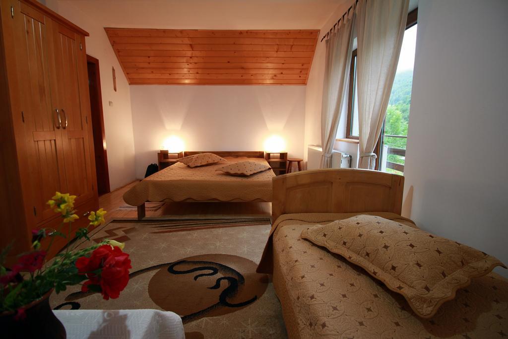 Vila Sucu Hotel Poiana Mărului Habitación foto